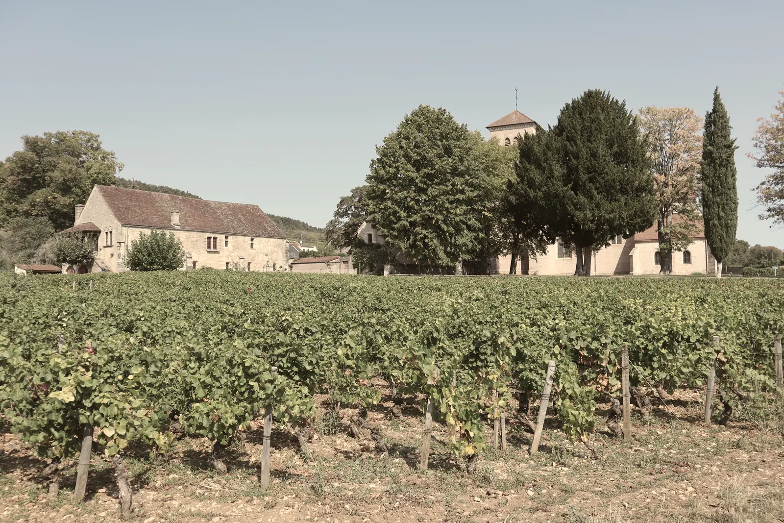 Le village viticole de Gevrey-Chambertin et ses clos