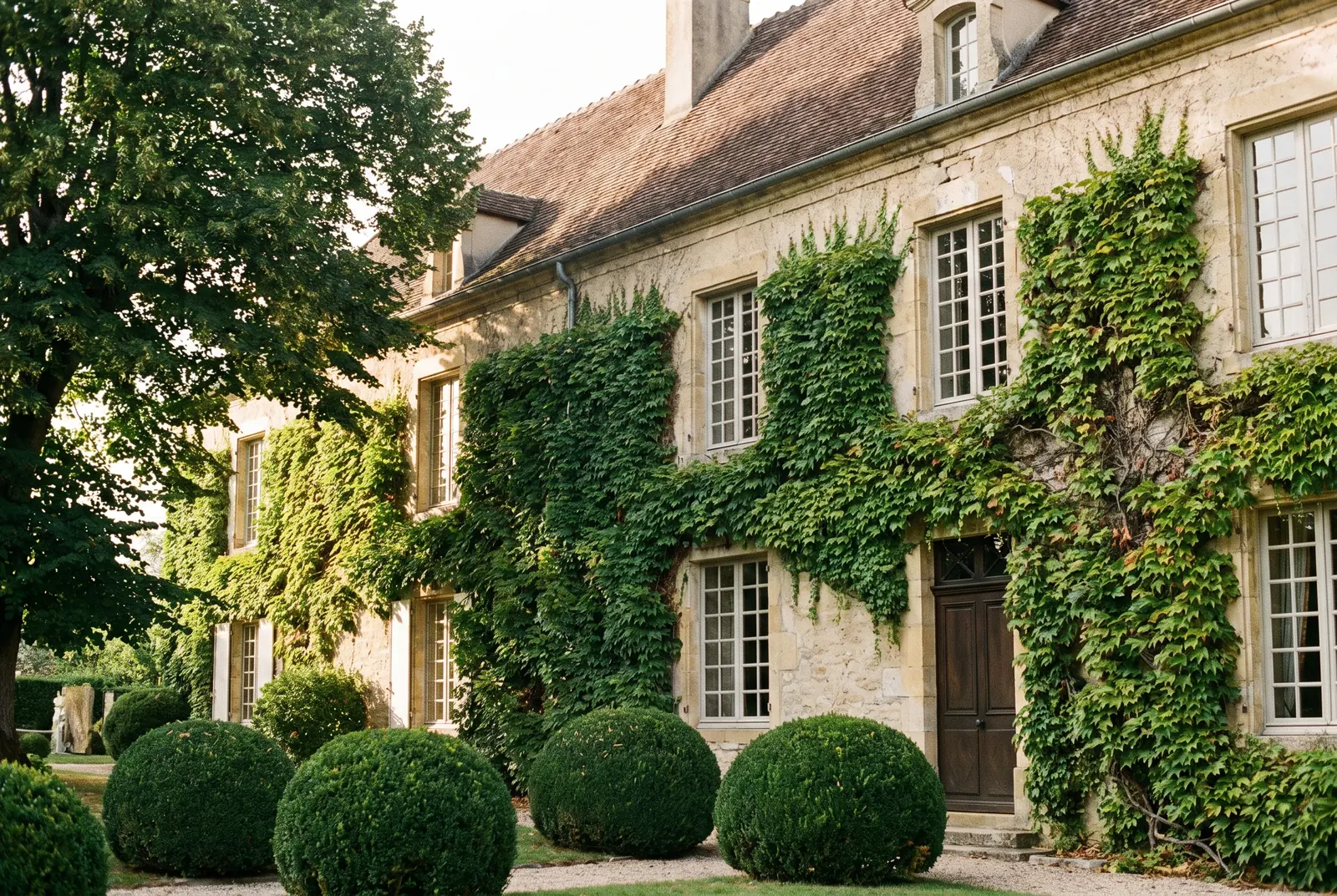 Manoir bourguignon en pierre, façade couverte de vigne vierge